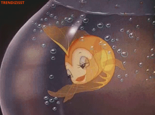 Flirt Wink GIF