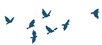 Flock Of Birds Birds Sticker