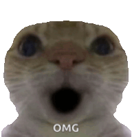 Flordepoia Cat Sticker