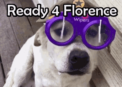 Florence Storm GIF