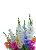 Flores Sticker
