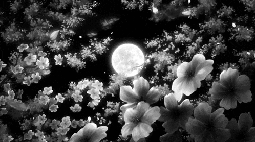 Flores Dark GIF