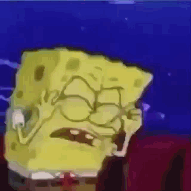 Floreyonce Spongebob GIF