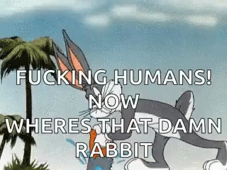 Florida Is Crazy Fucking Humans GIF