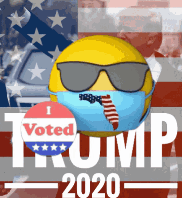 Florida Vote GIF