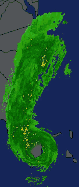 Florida Weather GIF