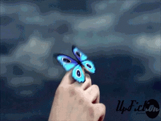 Flower Butterfly GIF