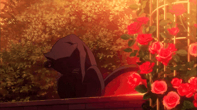 Flower Cat GIF