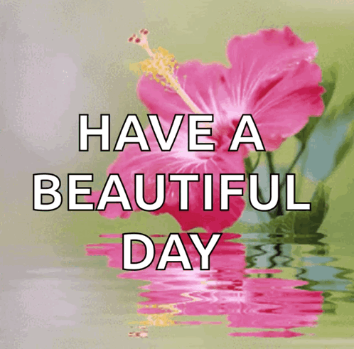 Flower Love GIF