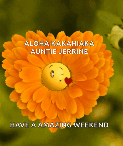 Flower Love You GIF