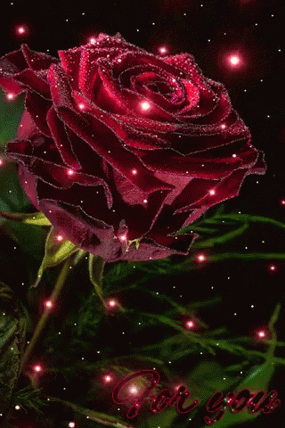 Flower Red GIF