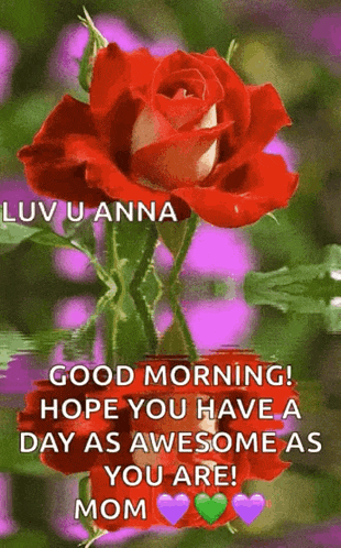 Flower Rose GIF