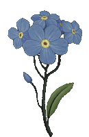 Flower Sam Smith Sticker