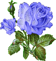 Flower Sparkle Sticker