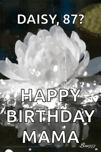 Flower White GIF