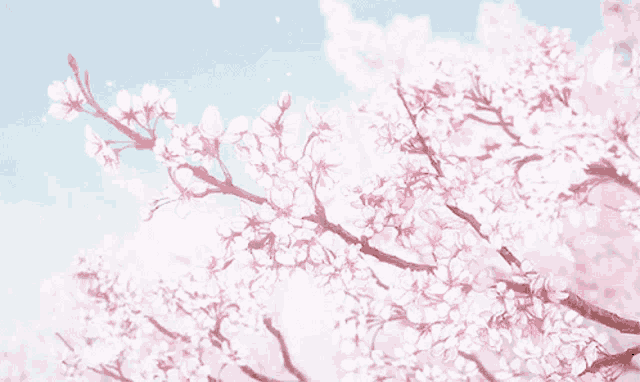 Flowers GIF