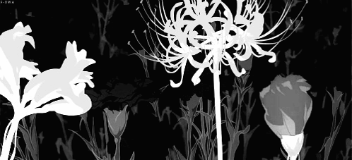 Flowers Blooming GIF