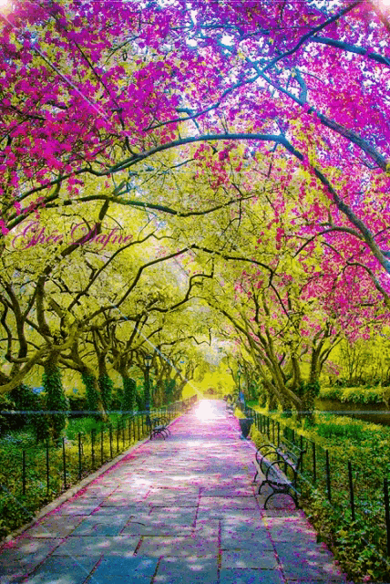 Flowers Blooming GIF