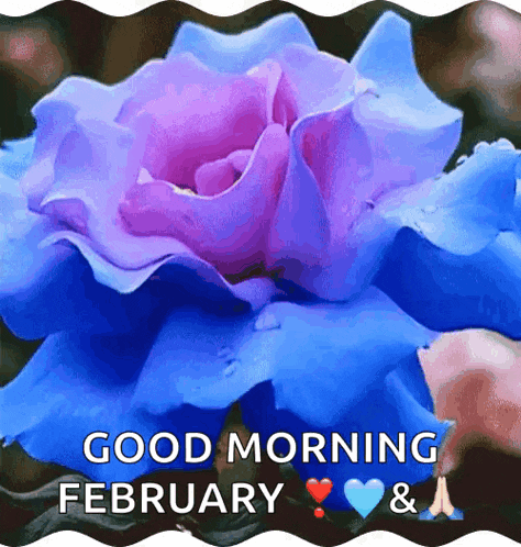Flowers GIF