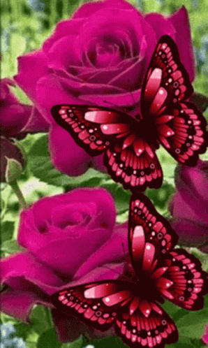 Flowers Flowers For You GIF