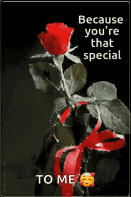 Flowers Flowers For You GIF