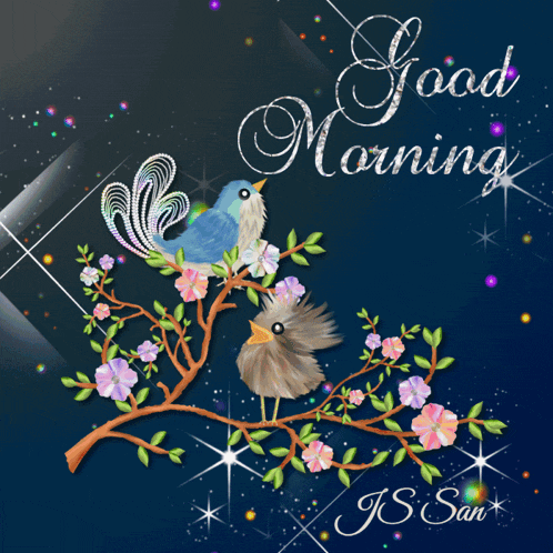 Flowers Flowers Good Morning GIF