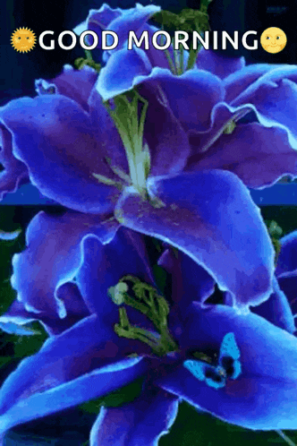Flowers For You GIF