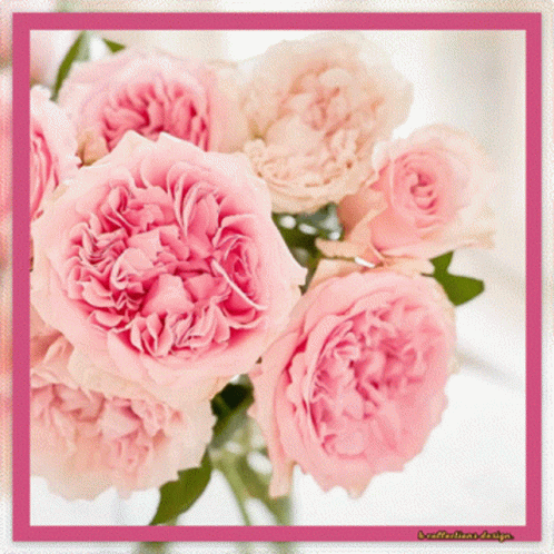 Flowers Good GIF