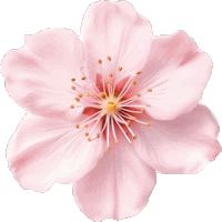 Flowers Sticker