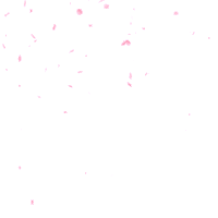 Flowers Petals Sticker