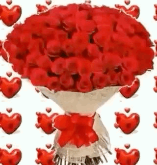 Flowers Promocao Do Angelo GIF