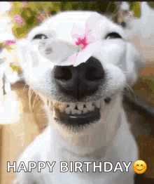 Flowers Puppy GIF