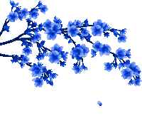 Flowers Sticker