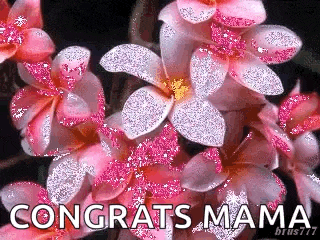 Flowers GIF