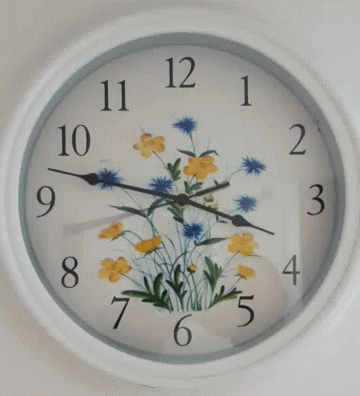 Flowers Time GIF