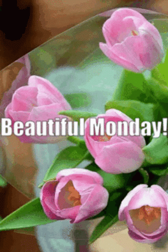 Flowers Tulip GIF. This 331 x 498 animated GIF is part of our montag morgen collection. Related themes include good morning, monday. Created by ovibargains…