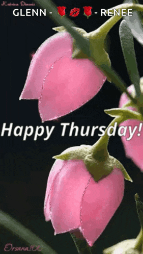 Flowers Tulip GIF