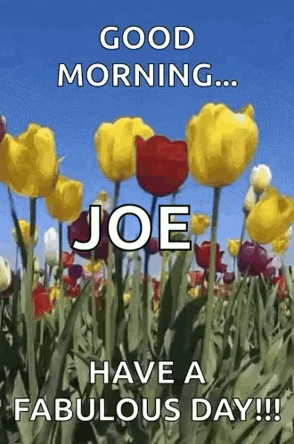 Flowers Windy GIF