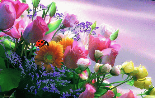 Flowers GIF