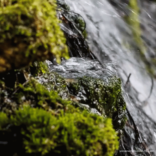 Flowing Water GIF. This 498 x 498 animated GIF is part of our moving water collection. Related themes include water. Created by lcorynmu. View the original…