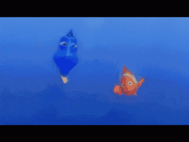 Fluent In Whale GIF