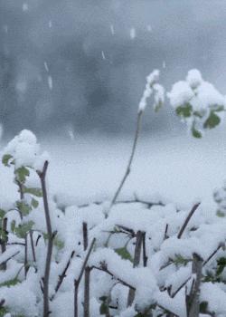 Flurrying Falling GIF