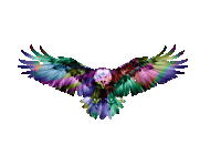 Fly Free Sticker