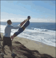 Fly Human Fly GIF