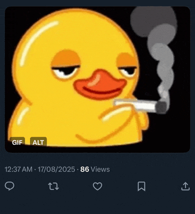Fly The W Meme