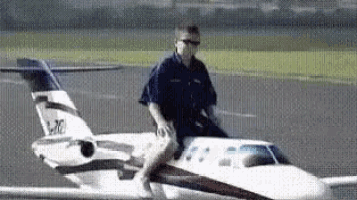Fly GIF