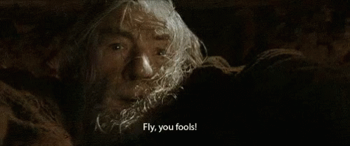 Fly, You Fools! - The Lord Of The Rings GIF