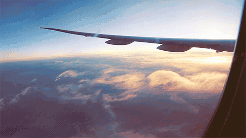 Flying GIF