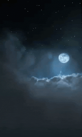 Flying Through The Sky GIF