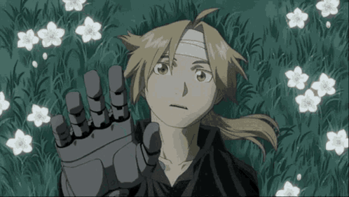 Fmab Full Metal Alchemist GIF